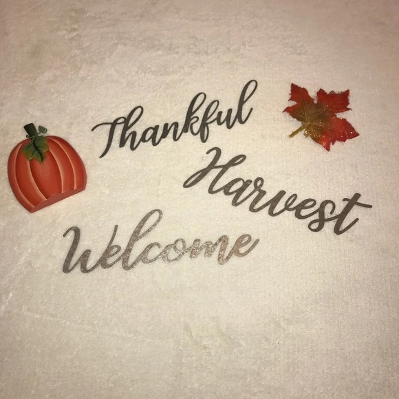 Galvanized Metal Fall Signs - 3 Pack - Picture 1 of 5